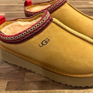 Ugg Taz slippers